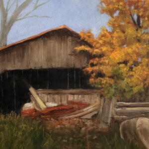 Shed