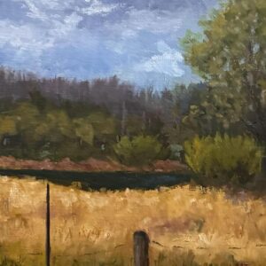 Glen Rose 11X14