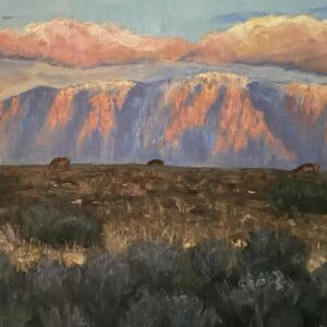 Antelope Island 14X18